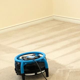 Carpet Cleaning Allen Tx