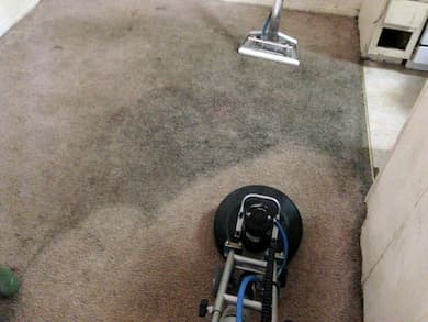 Rotary Power Scrub Carpet Cleaning