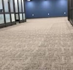 commercial carpet cleaning parker