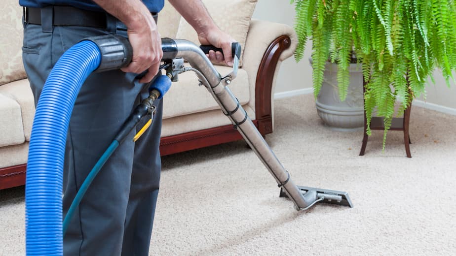 carpet cleaning